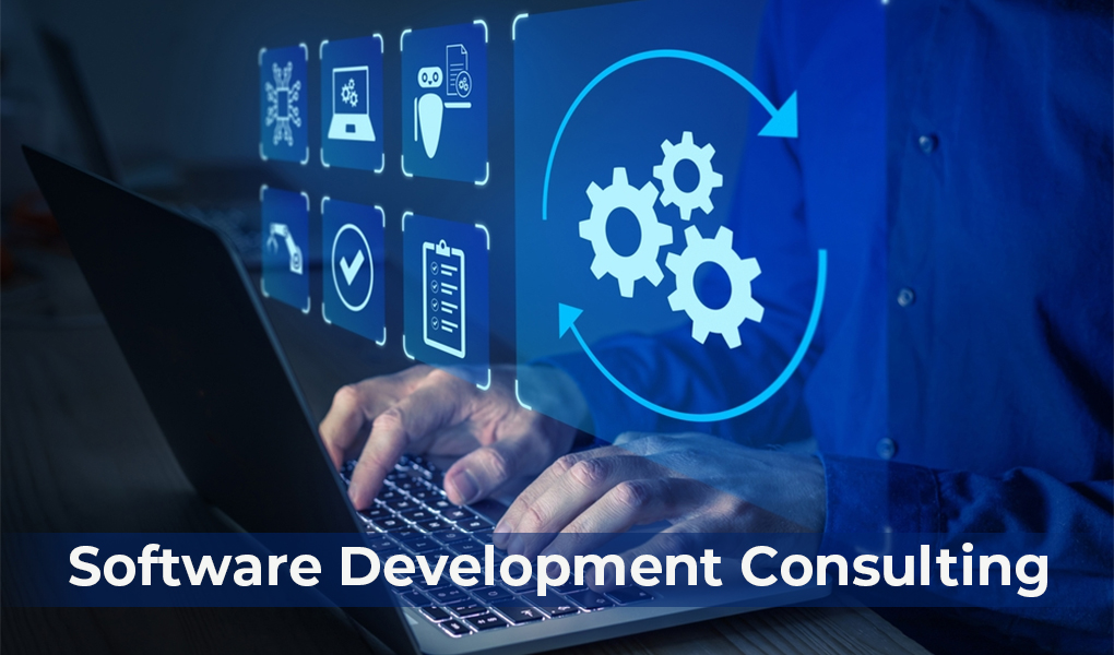 Software Consulting Services